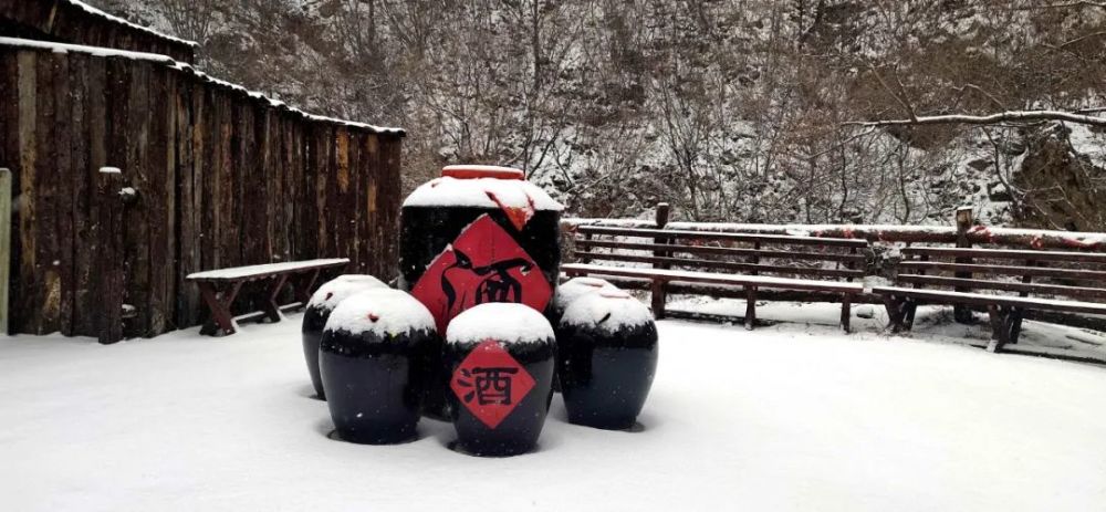 牛年的第一场雪，唤醒了蓟州“梨木台”