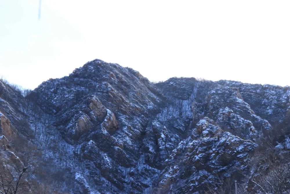 牛年的第一场雪,唤醒了蓟州“梨木台”