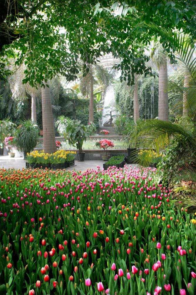 天津热带雨林贺岁季，带你“犇”向春天的快乐