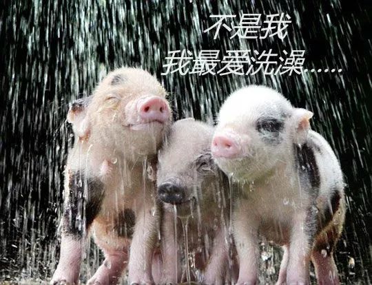 关乎一年财运！天津人今天要这样做......