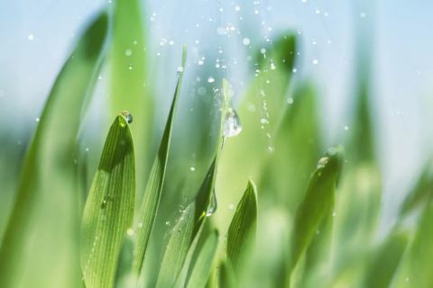 今日雨水，天津气温迎新变化！