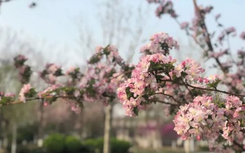 暖！今日天津气温将直冲21℃！