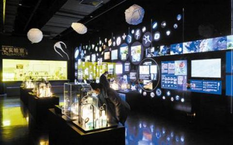 国家海洋博物馆新增多个互动展项与观众见面 沉浸式体验海洋魅力