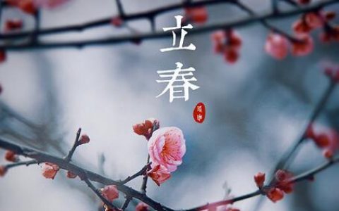 全国入春进程图出炉 看看哪儿已经是春天了？