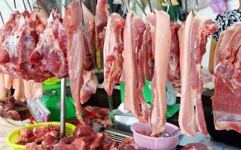 受出栏数量增加等多种利好因素影响 天津猪肉批发价格稳中有降