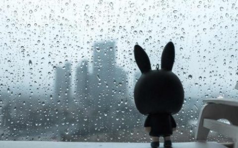 暖！东北、华北、黄淮等地气温将上升6～10℃