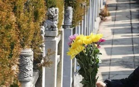 滨海新区各殡仪馆、公墓春节期间祭扫接待安排来了！请查收!