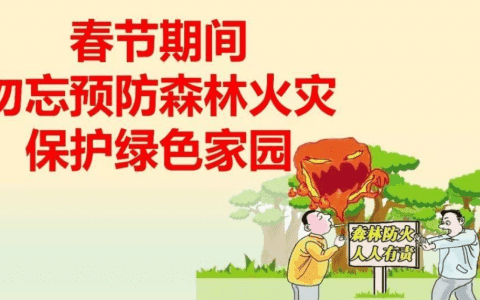 天津采取四项措施 做好森林防火 确保安全过春节