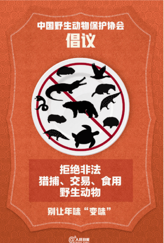 倡议！别让年味“变味”   春节拒绝食用野生动物
