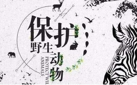 倡议！别让年味“变味”   春节拒绝食用野生动物