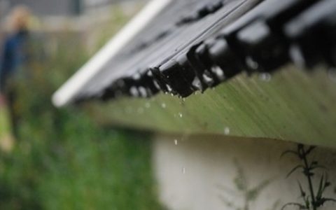 雨水节气天津气温升 日常仍需防春寒