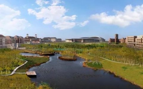 海河教育园管委会公开选聘27人！薪酬待遇、职位表