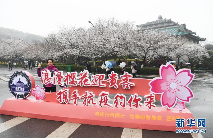 武汉大学开始接待预约游客赏樱！