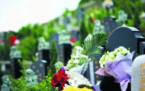 限流、预约、错峰……天津清明祭扫这样安排！