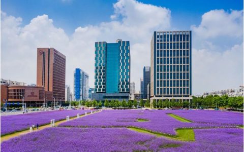 城市更新行动来啦！“滨城”这些地方将更美……