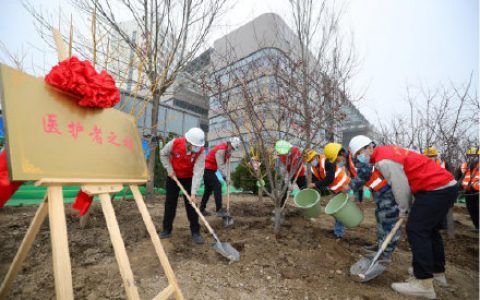 天津一中心医院新址开始绿化施工 建“医护者之林”