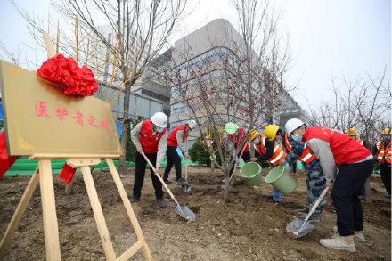 天津一中心医院新址开始绿化施工 建“医护者之林”