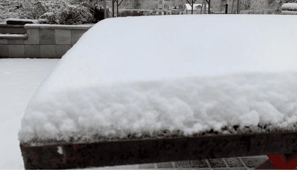 津城“雪”下一夜,今早出门要小心!