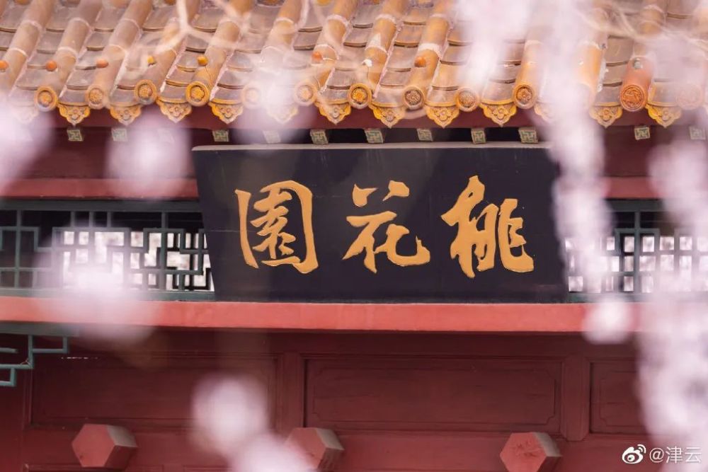 天津运河桃花节时间定了！就在这个月...三大亮点！速看！