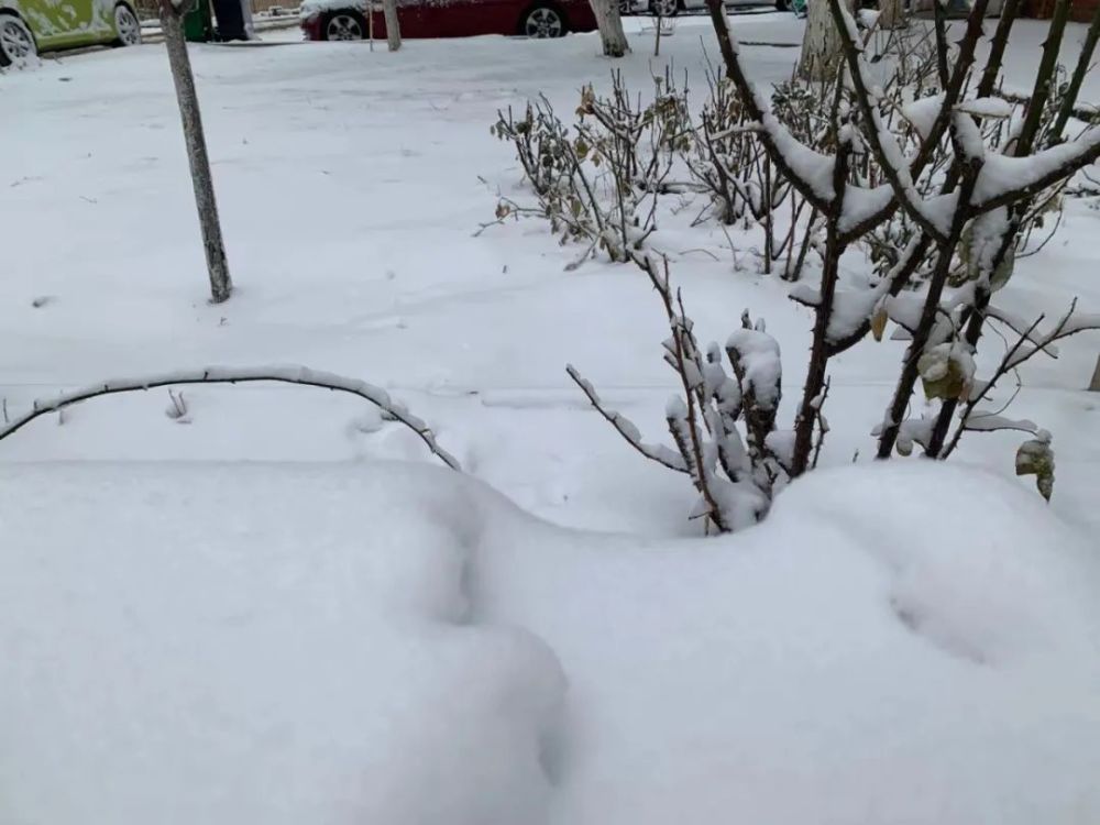津城“雪”下一夜,今早出门要小心!