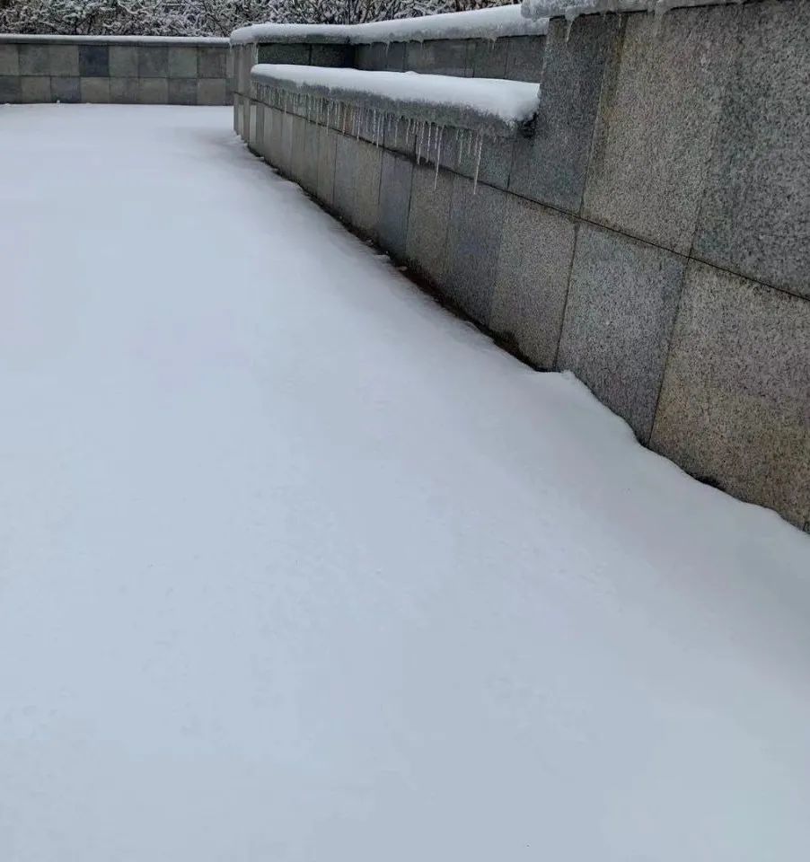 津城“雪”下一夜，今早出门要小心！