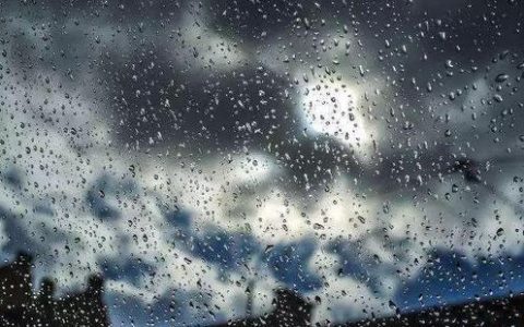 人工作业请来“及时雨” 雨雪天气至今晨基本结束