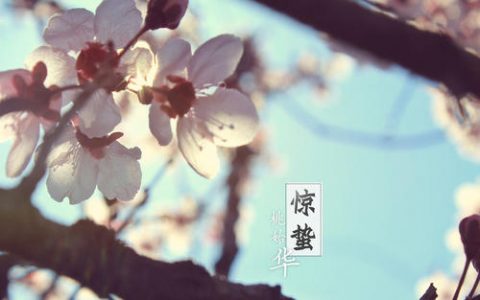 今日迎“惊蛰”节气 忽冷忽热的天气这样吃不生病