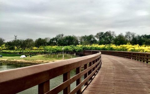 天津踏青赏花十大热门公园出炉 这个郊野公园居首