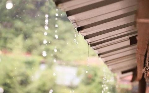 天津今日最高17℃！“春雨”明天就到