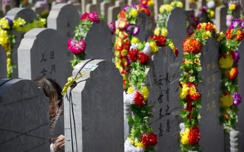 天津清明节可现场祭扫！还推出骨灰代撒、代葬、代祭等便民服务