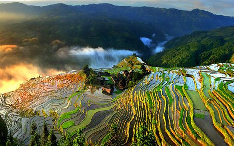 一图解读！“十四五”时期文化和旅游重点任务
