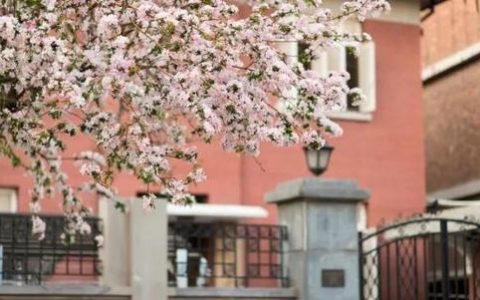 这所与外国语大学共建的附属学校选址确定了！