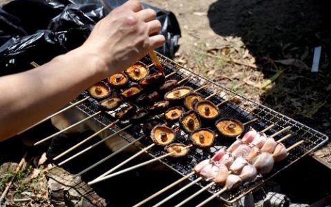 太期待了!  天津这里将打造户外野餐烧烤区