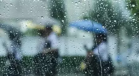 @天津人，带伞了吗？雨要来了！