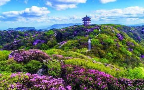 清明、五一假期将迎旅游高峰 赏花游热度升级