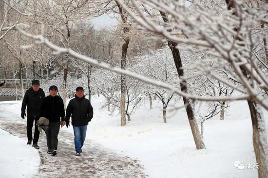 天津雪景图新鲜到货！路面情况如何?高速、机场受影响吗?