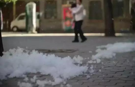 天津又要“下雪”了！具体时间公布！