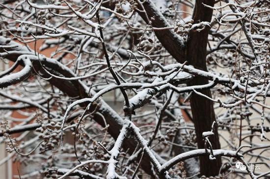 天津雪景图新鲜到货！路面情况如何?高速、机场受影响吗?