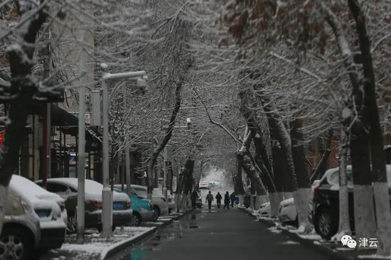 天津雪景图新鲜到货！路面情况如何?高速、机场受影响吗?