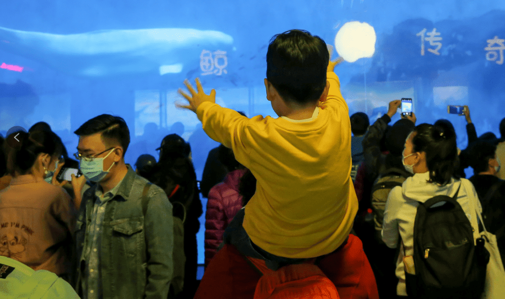 “与星星同闪烁 让爱点亮星空 ” 滨海新区组织“世界自闭症日”主题活动