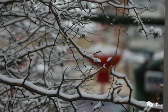 天津雪景图新鲜到货！路面情况如何?高速、机场受影响吗?