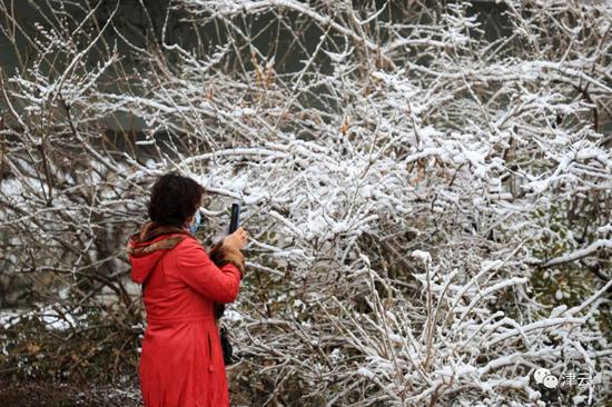 天津雪景图新鲜到货！路面情况如何?高速、机场受影响吗?