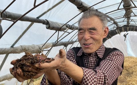 天津民生生物工程股份有限公司引领地龙行业快速发展