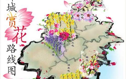 津城周末哪里赏花? 收好份赏花路线图