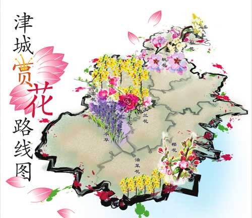 津城周末哪里赏花? 收好份赏花路线图