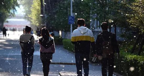 天津又要“下雪”了！具体时间公布！