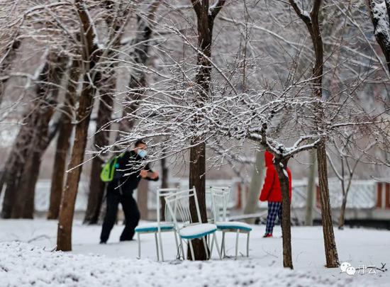 天津雪景图新鲜到货！路面情况如何?高速、机场受影响吗?