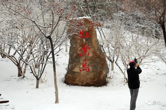 天津雪景图新鲜到货！路面情况如何?高速、机场受影响吗?