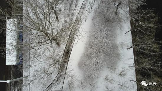 天津雪景图新鲜到货！路面情况如何?高速、机场受影响吗?