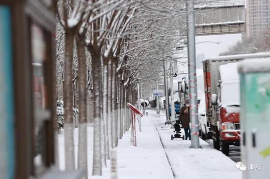 天津雪景图新鲜到货！路面情况如何?高速、机场受影响吗?